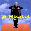 sir-mix-a-lot-baby-got-back.jpg