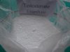 Testosterone%20Enanthate.jpg