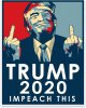 trump impeach this.jpg