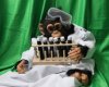 chimp_with_lab_glass_aside_216_173.jpg