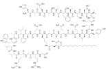 Liraglutide-img (1).png
