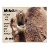 funny_camel_hump_day_guess_what_day_it_is_mike_poster-r8602407759ac49788f236e28a7b00da2_zxf_8b...jpg