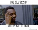 its-not-gay-5b2d90.jpg