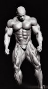 Flex-Wheeler.jpg