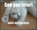 waving-cat-goodbye.gif