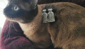 superCat Batteries.jpg