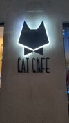 Cat Cafe headquarters.jpg