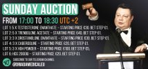 Auction-2.jpg