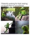 Waiting kermit 24012023182617.jpg