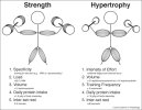 strength vs hypertrophy.jpg