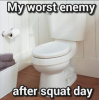 Squat.png