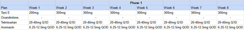 Cycle 1 Phase 1.PNG