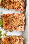 Salmon683x1024.jpg