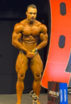 Most muscular overall.png