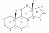 Anabolic-and-androgenic-act.gif