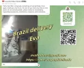 Brazil.webp