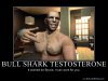 BullSharkTestosterone.jpg