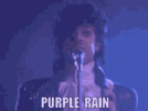 purple-rain-prince.gif
