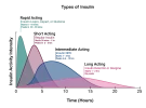 insulin-types.webp