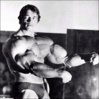 arnold-schwarzenegger-big_muscle.jpg