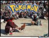 Pokemon-Fight_o_95562.jpg