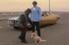 Baxter+_e4916c43e832b5b864b4a3e0d52bc0ae.gif