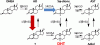 Pathways-Of-DHT-Synthesis-F.gif