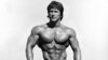 Frank_Zane-content 2.jpg
