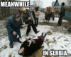 meanwhile-in-serbia-funny-memes-collection-pics-images-photos-pictures-bajiroo-11.jpg meanwhile-in-serbia-funny-memes-collection-pics-images-photos-pictures-bajiroo-11.jpg