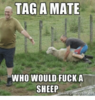tag-a-mate-who-would-fuck-a-sheep-eme-generator-6036637.png