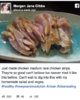 Medium-rare-chicken-Facebook-post-788705.jpg