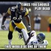 6820c20b35315f102bc2fb35c767fa3d--steelers-stuff-steelers-football.jpg