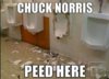 3-chuck-norris-peed-here.jpg