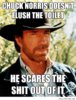 Chuck-Norris-doesnt-flush-the-toilet.jpg