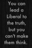 e131fca48c88c4d5279ad3921bead582--anti-liberal-liberal-logic.jpg