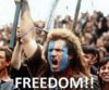 391e9418214000ee34b15b369d4c11b0--william-wallace-braveheart.jpg