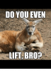 do-you-even-lift-brop-4651917.png