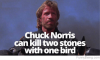 Chuck-Norris-Can-Kill-Two-Stones-600x364.png