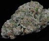 Grape Stomper (5)_kr_natural-small.jpg