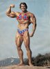 Patriotic-Arnold-Schwarzenegger--43127.jpg