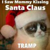 d6781b79b02a417c71e8ebe63c93741d--christmas-stuff-christmas-humor.jpg