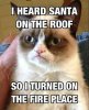 35-Funny-Grumpy-Cat-Memes-5-Grumpy-Cat-Funny-.jpg