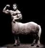 Centaur-Arnold-10853.jpg