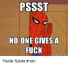 pssst-no-one-gives-a-fuck-rude-spiderman-21846659.png