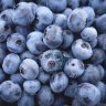 Blueberries