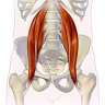 Psoas