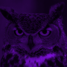 Night_Owl