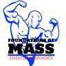 Foundations of Mass
