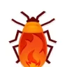 Firebug