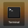 Terminal-Roids